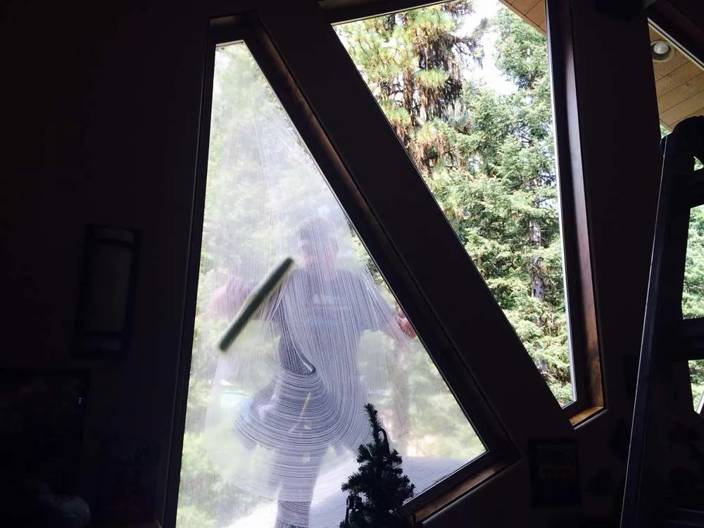 Person using a squeegee to clean a large window overlooking a forest.