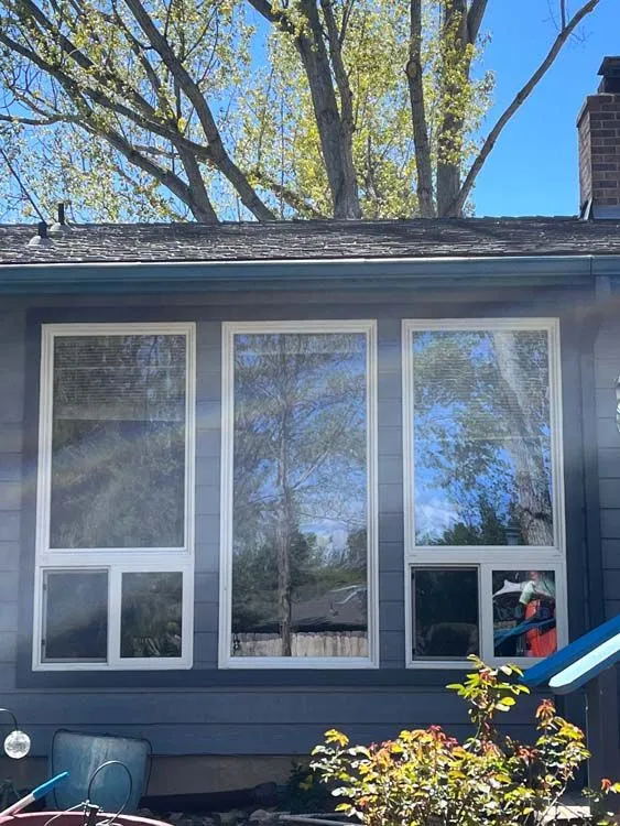 Three tall rectangular windows with white frames on a blue house reflect trees and blue sky.